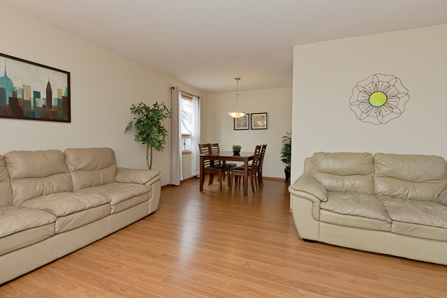 311 Thom Avenue East, Winnipeg, MB - East Transcona House/Single Family for sale, 3 Bedrooms (1307480) #5